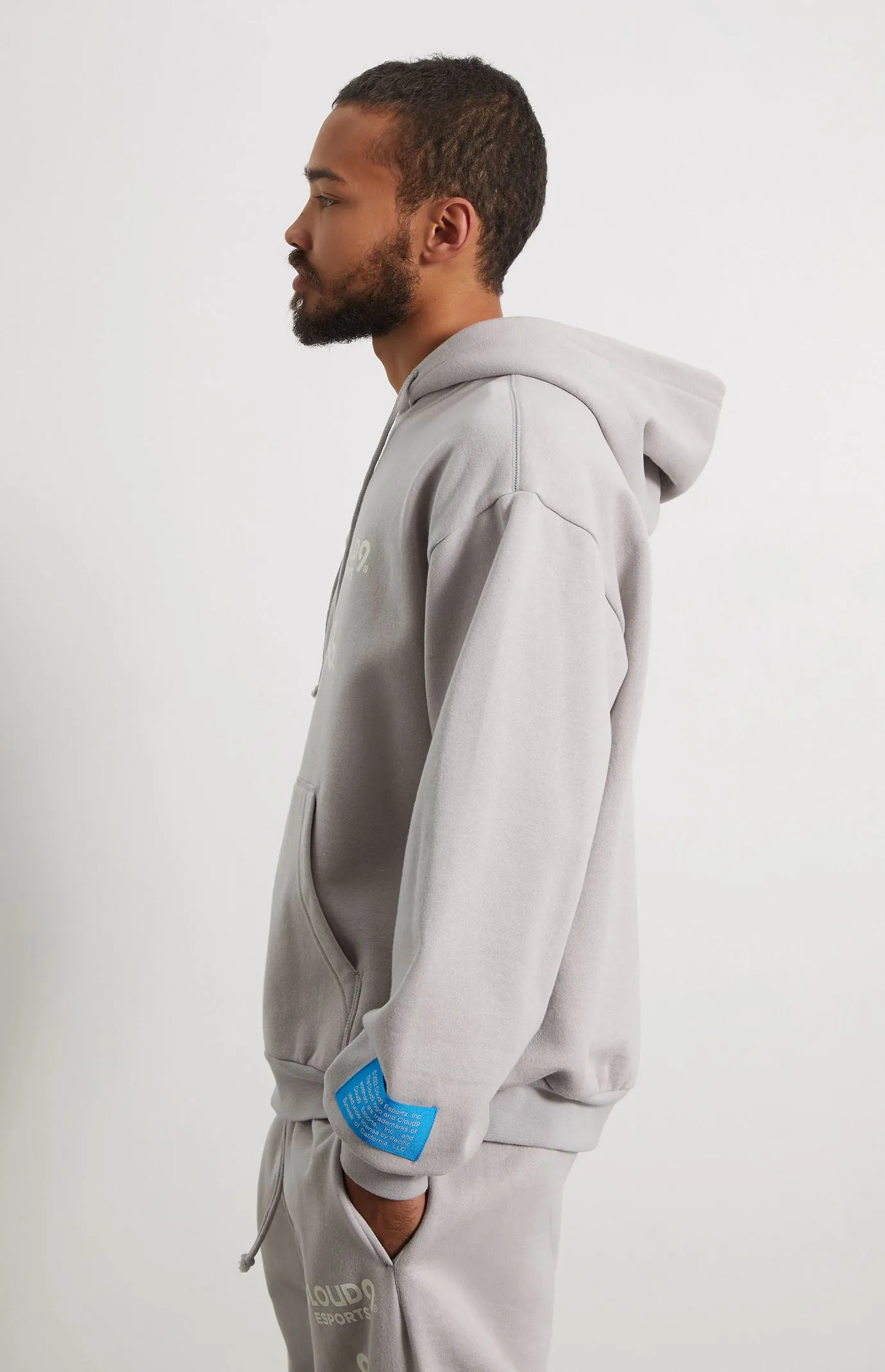 Cloud9 x PacSun Org Hoodie. Gray