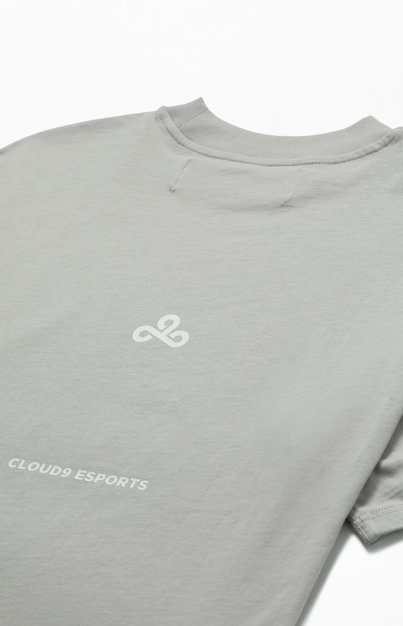 Cloud9 x PacSun Org Short Sleeve Tee. Gray